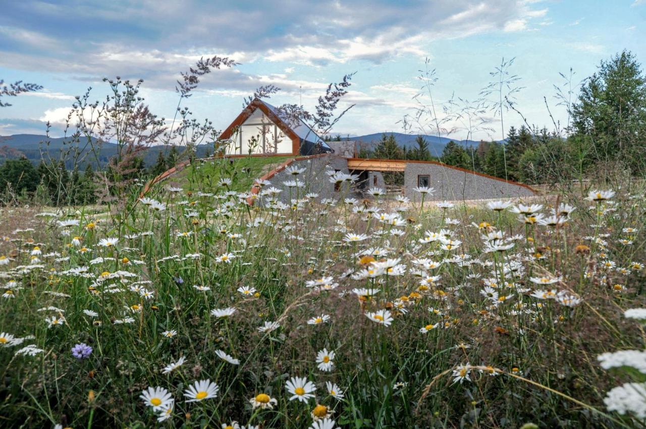 Beechtree Property Izvoare  Eksteriør bilde