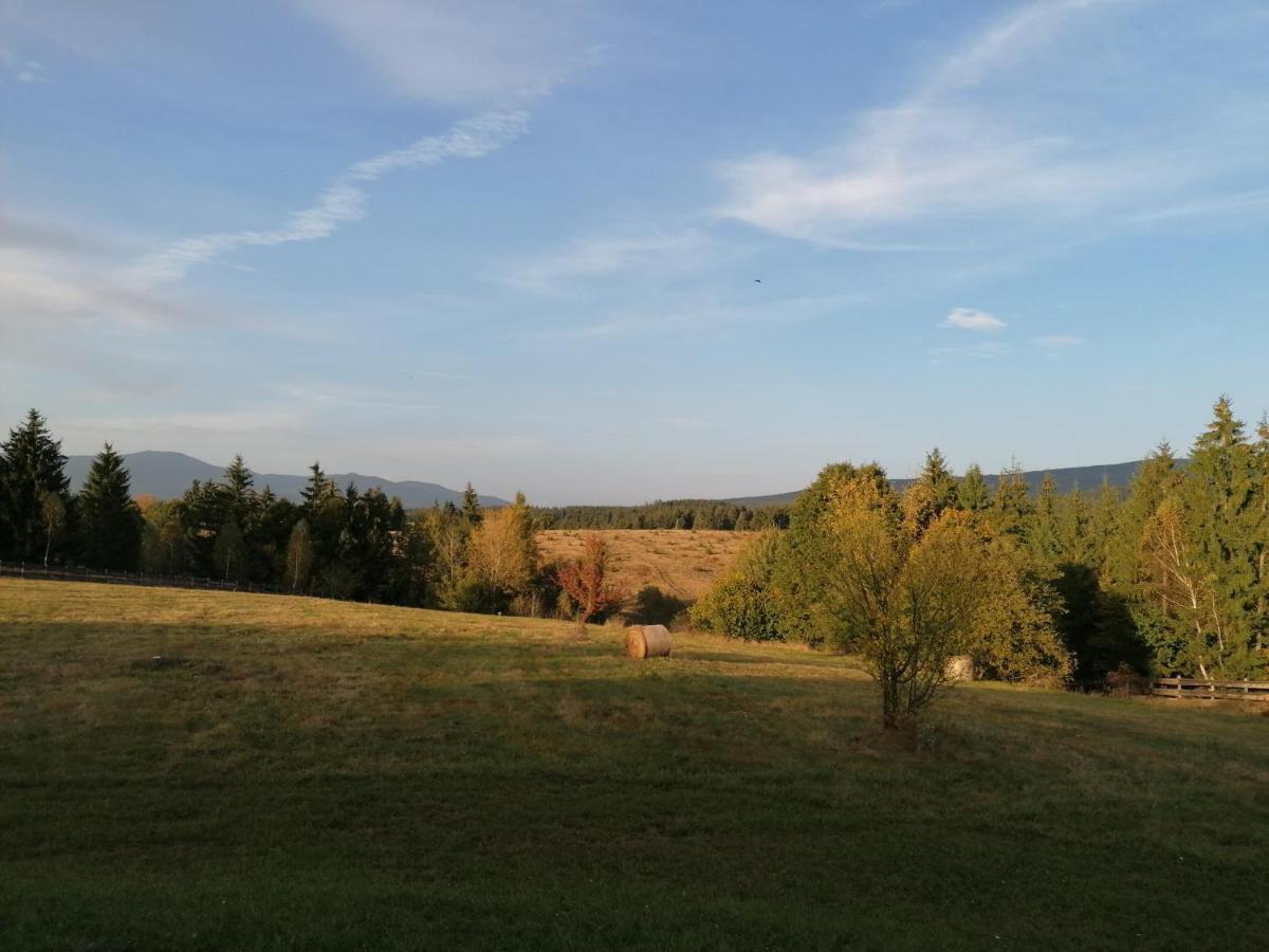 Beechtree Property Izvoare  Eksteriør bilde